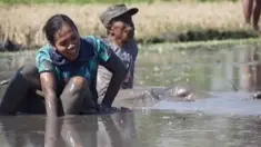 Kemeriahan perayaan hari kemerdekaan kian terasa di Bantul, Warga memanfaatkan area persawahan untuk melakukan kegiatan lomba.
