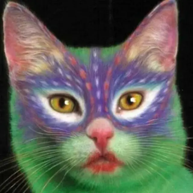 Why Paint Cats