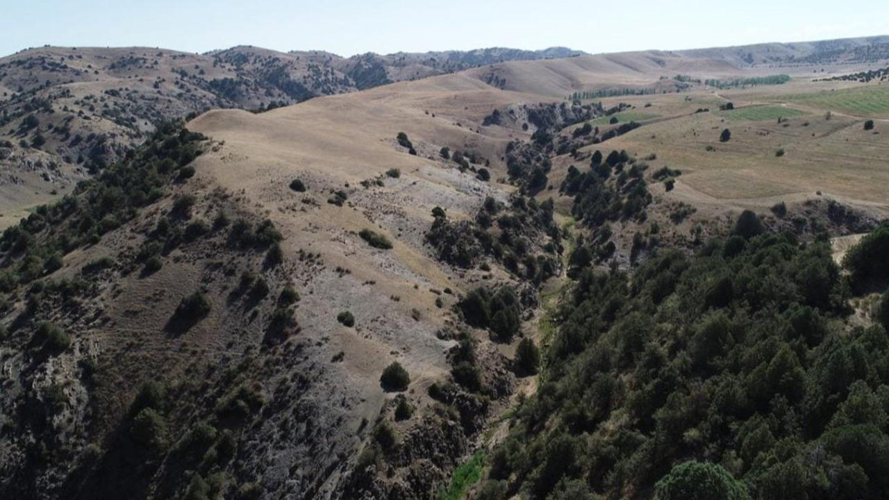Pakai Drone dengan Teknologi Laser, Ilmuwan Temukan Kota Kuno Abad Pertengahan di Puncak Gunung Uzbekistan