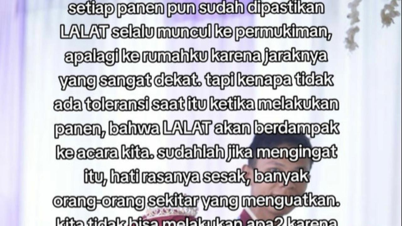 Kisah Pilu
