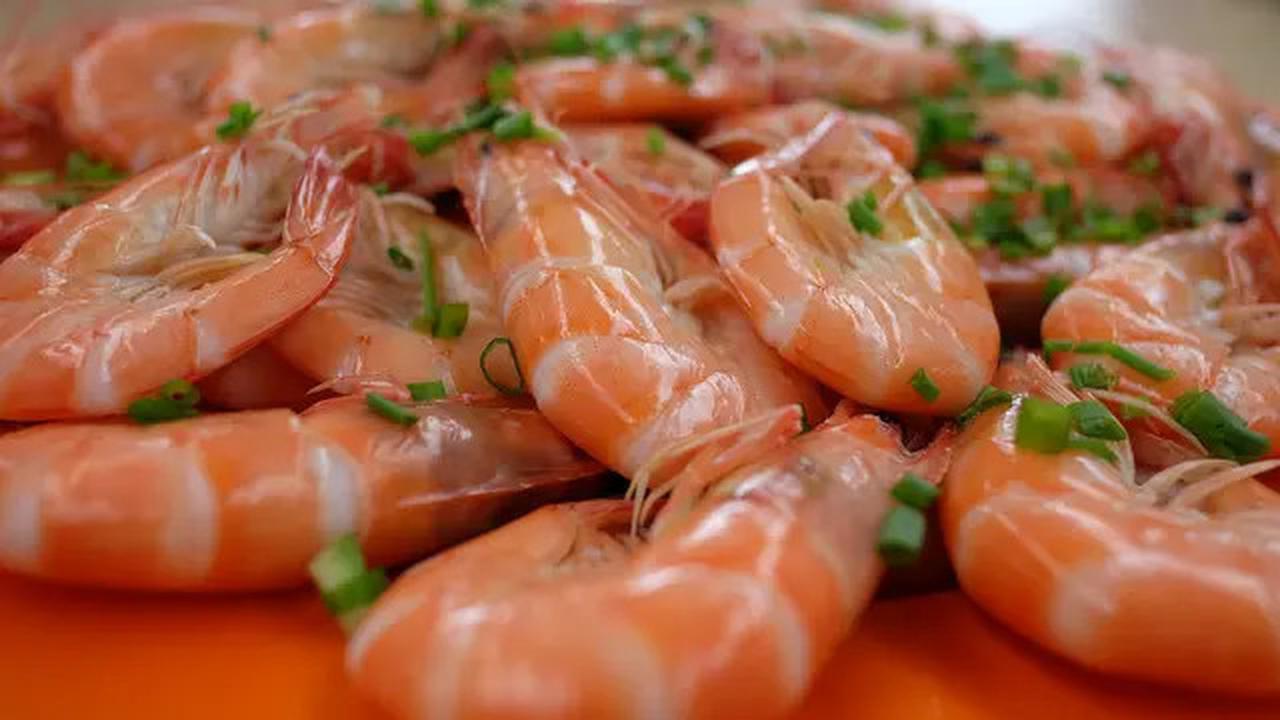 Rahasia Rebus Udang Tetap Cantik dan Lembut yang Jarang Diketahui
