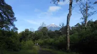 Gunung Kerinci dilihat dari perjalanan ke Gunung Tujuh di Sumatera. (Dok: Gunung Bagging&nbsp;https://www.gunungbagging.com/tujuh/)