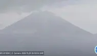 Semeru Bergemuruh, Puluhan Gempa Tercatat dalam Hitungan Jam