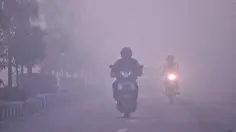 Sekolah di Kotim Ditutup Gara-Gara Kabut Asap Kebakaran Hutan
