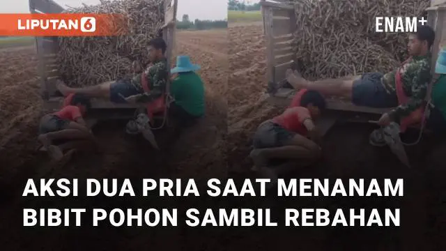 VIDEO: Kerja Sambil Rebahan, Ini Dia Aksi Dua Pria Saat Menanam Bibit Pohon