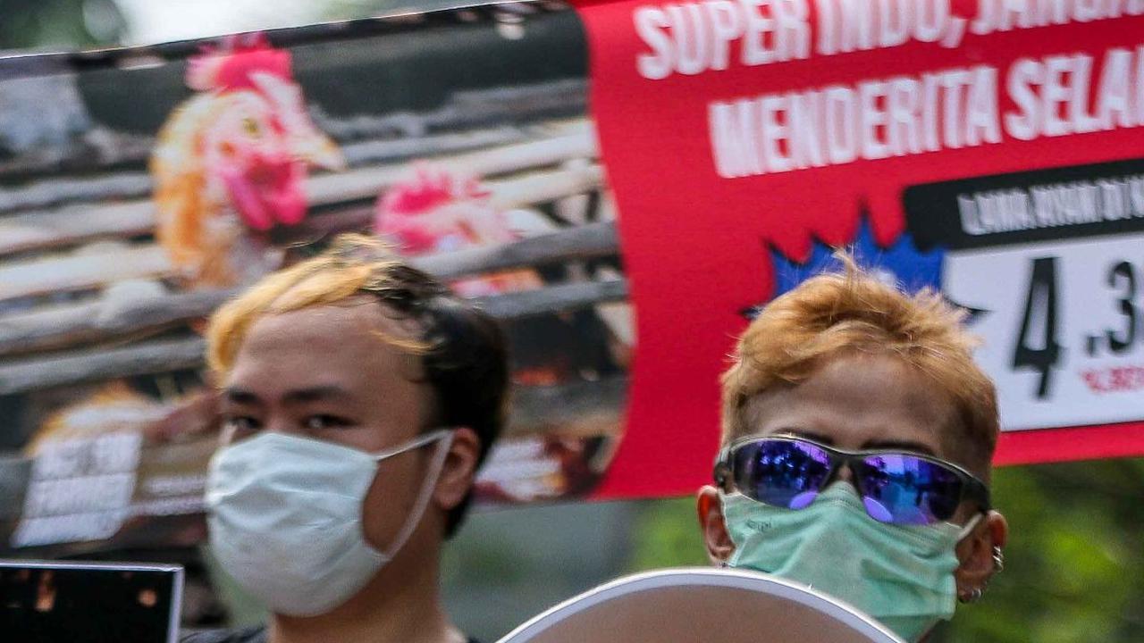 Kandang baterai dianggap sebagai salah satu praktik paling kejam dalam industri peternakan.