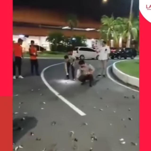 Ratusan Burung Pipit Mati Mendadak di Bandara Ngurah Rai Bali, Apa Penyebabnya?