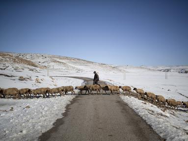 Seorang gembala menyeberang jalan dengan domba-dombanya di antara salju di desa Amazigh Timahdite di Atlas Tengah, dekat Azrou, Maroko (4/12/2021). Desa Timahdite Maroko yang terpencil, terletak di gunung tertinggi di Afrika Utara. (AP Photo/Mosa'ab Elshamy)