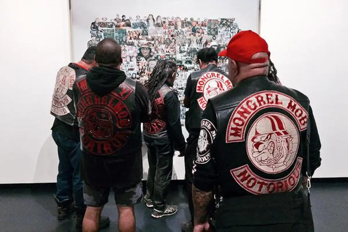 Mongrel Mob, Yakuza ala Selandia Baru yang Paling Ditakuti 