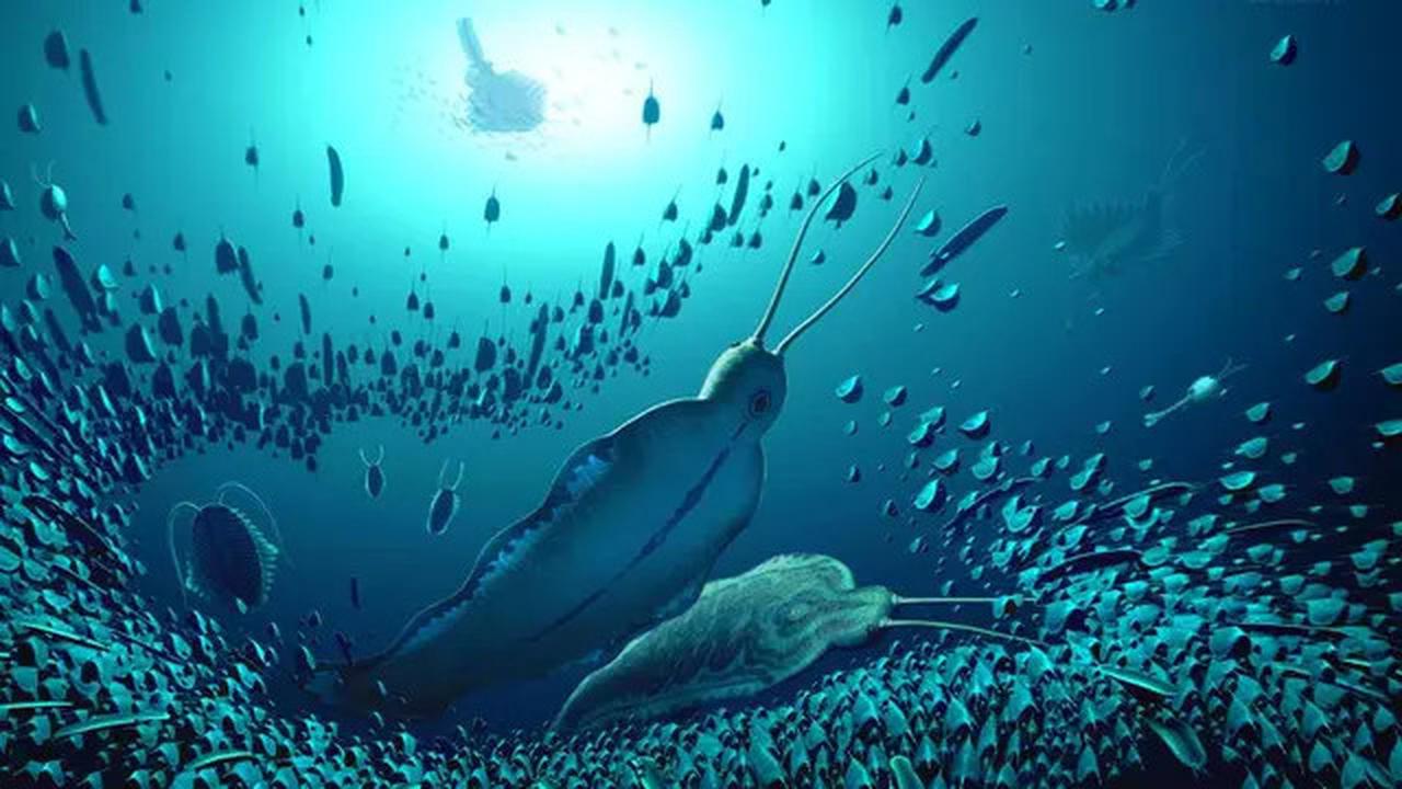 Penemuan Fosil Cacing Raksasa di Greenland Utara, Predator Purba yang Mengerikan