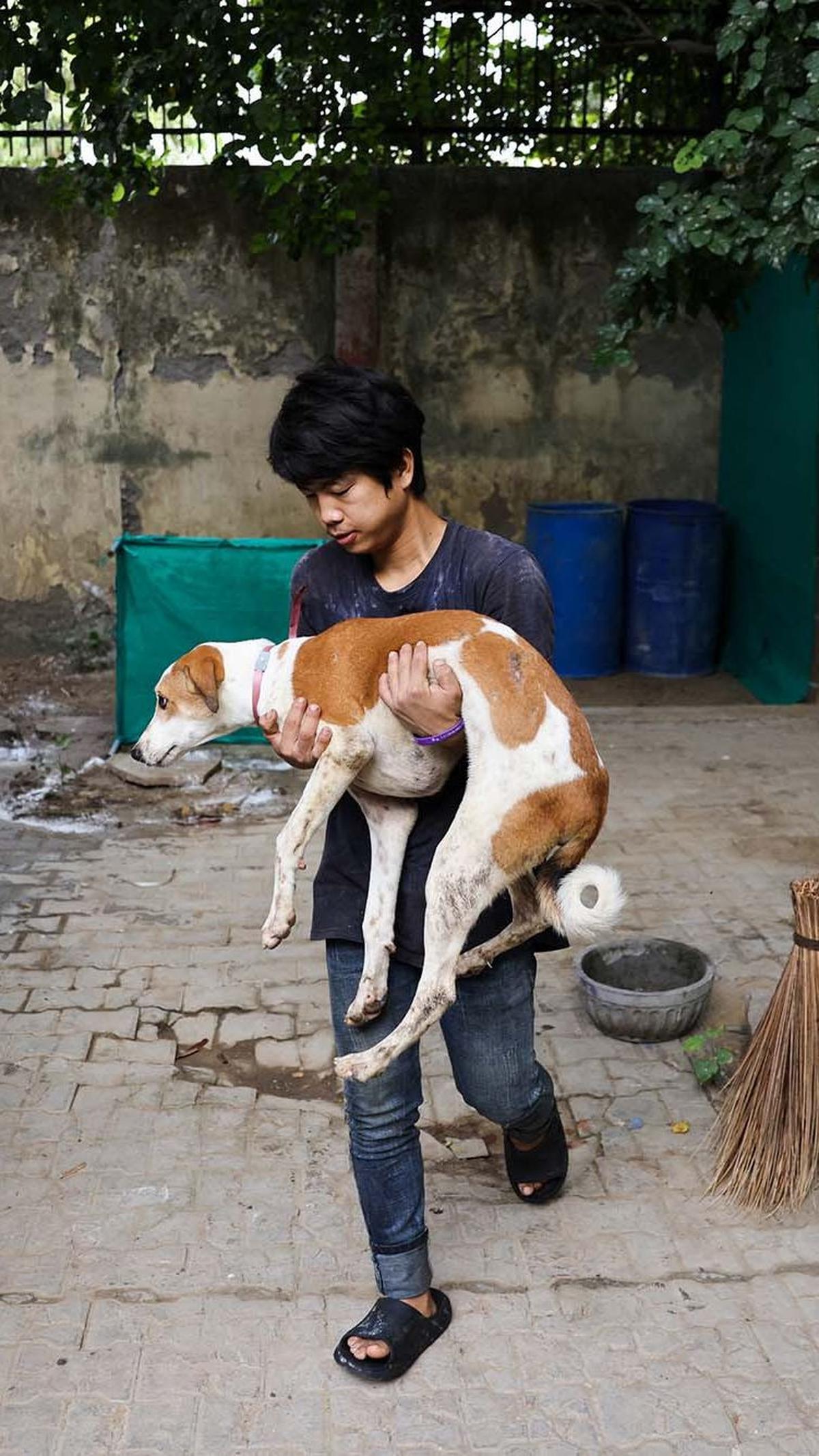 Dilansir Reuters, Perusahaan Kota Delhi (MCD) tidak secara langsung menghubungkan pemburuan anjing liar dengan pertemuan puncak tersebut.