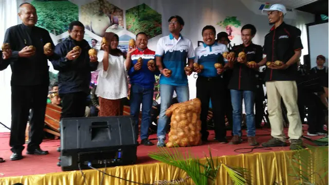 Panen Kentang