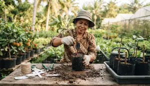 Cara Stek Pohon Rambutan agar Cepat Tumbuh Tunas, Ini Trik agar Batang Tidak Mudah Layu