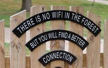 Lebih Kencang Mana, WiFi atau Data Seluler?