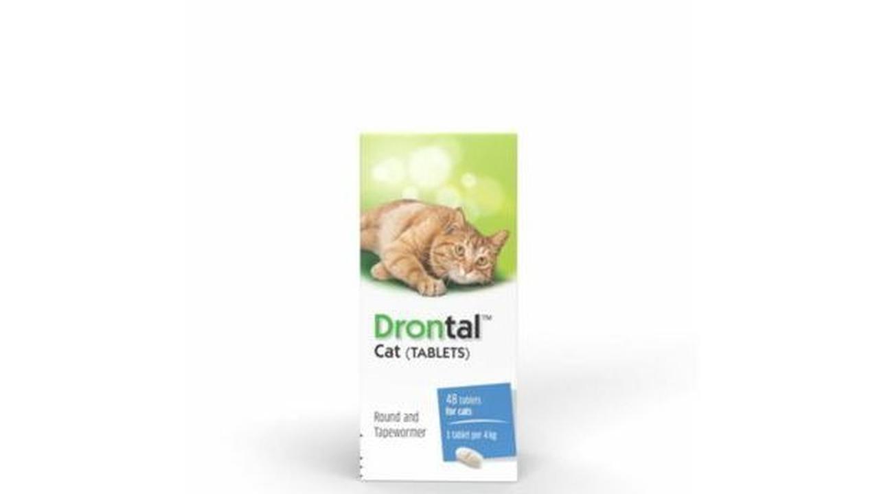 2. Obat Cacing Drontal