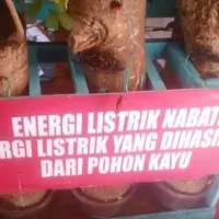 Semua ilmuwan setuju, kayu bukanlah penghantar listrik. Tapi di tangan remaja Aceh ini, kayu pohon kedondong jadi energi listrik! WOW!