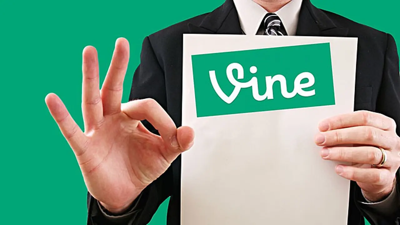 vine-131113b.jpg