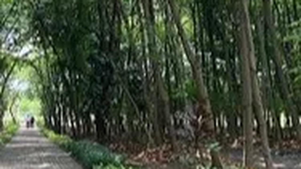 Hutan Kota UKI Bakal Ditertibkan Usai Jadi Sarang LGBT