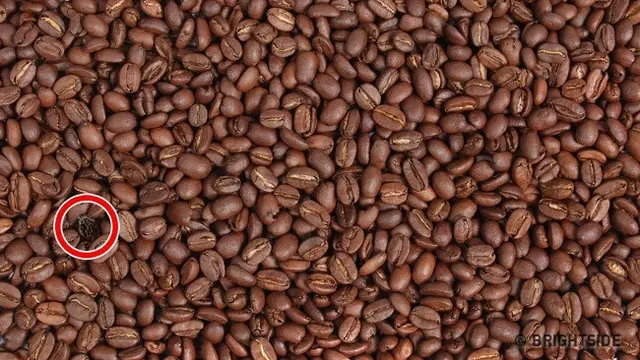 Biji kopi