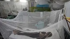 Seorang anak yang menderita demam berdarah, penyakit yang ditularkan oleh nyamuk, dirawat di bangsal isolasi, di sebuah rumah sakit di Lahore, Pakistan, Jumat (23/9/2022). Pakistan telah mengerahkan ribuan dokter dan paramedis tambahan di provinsi yang paling parah dilanda banjir di negara itu untuk menahan penyebaran penyakit yang telah menewaskan lebih dari 300 orang di antara para korban banjir, kata para pejabat. (AP Photo/K.M. Chaudary)