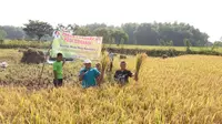 Kemenpora Jalani Program Pemuda Tani Organik Berbasiskan Kearifan Lokal