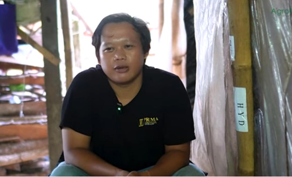 Sering Dikomplain Warga, Anak Muda Lulusan SMP Sukses Budidaya Jamur Merang