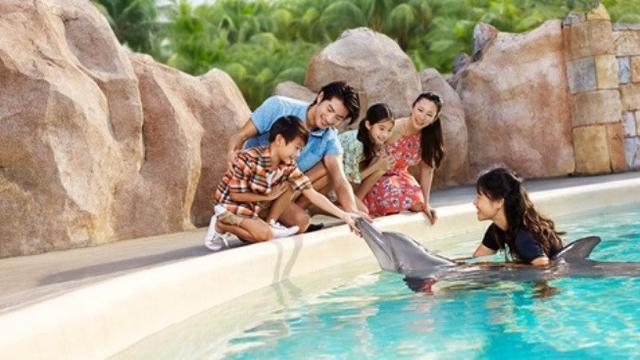 Interaksi Lumba-Lumba di Dolphin Island Resorts World Sentosa