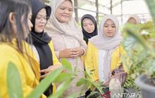 Tahukah Anda? Indonesia Punya 29 Jenis Amorphophallus! ULM Kembangkan Bunga Bangkai Endemik Kalimantan untuk Edukasi dan Riset