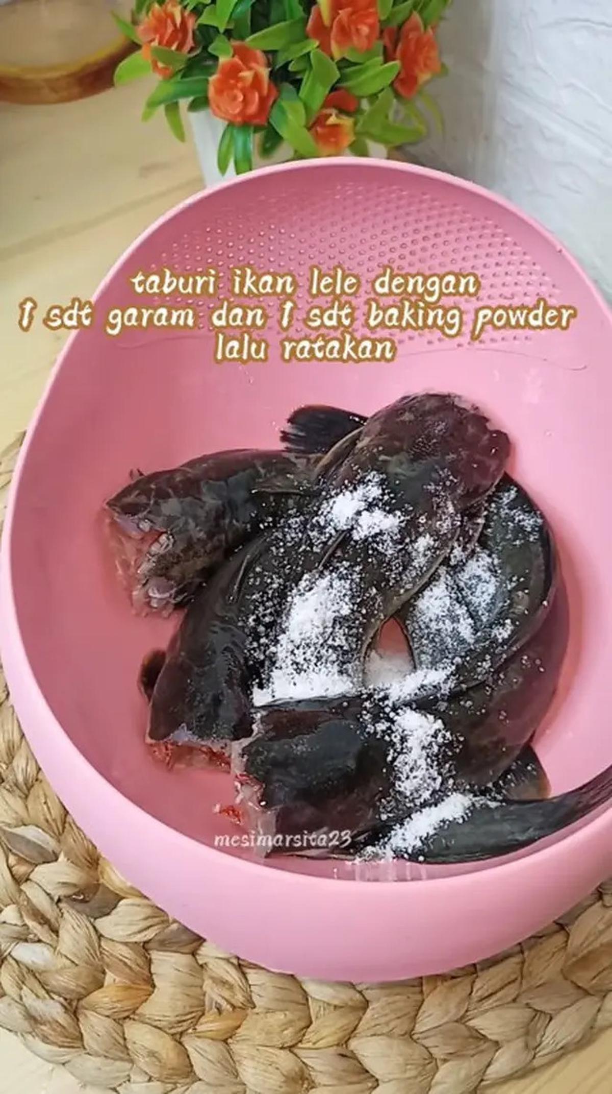 Cara Simpan Lele Tanpa Kulkas agar Tahan Hingga 2 Hari