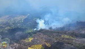 Kebakaran Masih Mengintai Pegunungan Ijen, 3 Titik Api Baru Terdeteksi