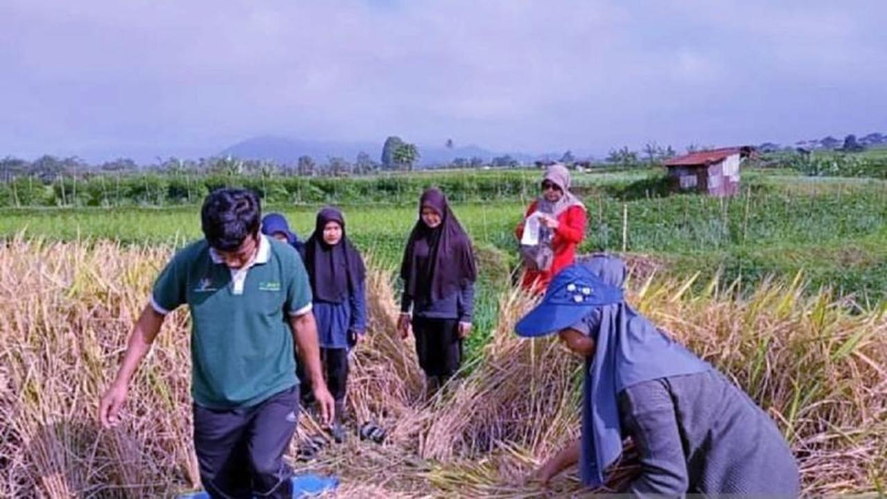 OJK: Laba Industri Asuransi Umum Tumbuh Positif, Reasuransi Tertekan Geopolitik