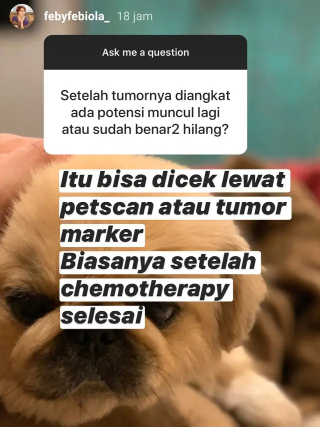 Unggahan Feby Febiola. (Foto: Instagram @febyfebiola_)