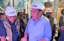 Mentan Amran Ungkap Cadangan Beras Sentuh Level Tertinggi, Jamin Siap Hadapi El Nino