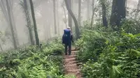 Seorang pendaki berada di Gunung Kencana, Bogor. (Dok: Instagram https://www.instagram.com/p/C3FFwMiRrML/?igsh=eGt2eW91N2sxM24x)