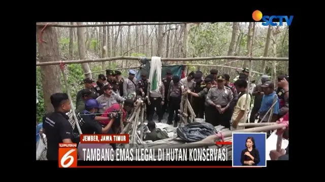 Petugas gabungan menggerebek areal tambang emas ilegal di kawasan hutan lindung di Jember. Ratusan sumur tambang emas dengan kedalaman hinggu puluhan meter dimusnahkan dengan cara dirusak dan dibakar.