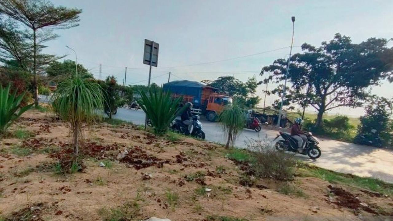 Fakta Anggaran Rp781 Juta: Ternyata Ini Rincian Pemeliharaan Taman Median Jalan Karawang yang Bikin Heboh!