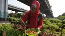 Selain untuk penghijauan, lahan tersebut ditanami dengan sayuran. (merdeka.com/Imam Buhori)