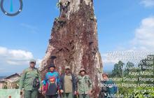 Kerusakan Hutan TNKS Bengkulu Capai 10.000 Hektare Akibat Pembalakan Liar