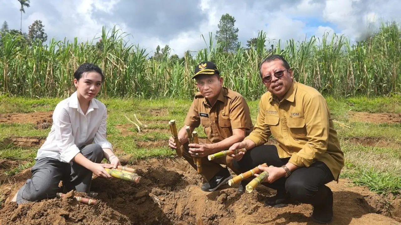 Penyuluhan untuk Petani Tebu Kabupaten Agam: Sinergi Koperasi Kana dan UGM Dukung Pertanian Berkelanjutan