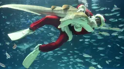 Seorang penyelam mengenakan kostum Sinterklas memegang seekor ikan saat berenang di Akuarium Sunshine, Tokyo, Kamis (12/11). Untuk menarik pengunjung, tempat tersebut mengadakan pertunjukkan spesial natal hingga 25 Desember mendatang. (AFP/Kazuhiro Nogi)