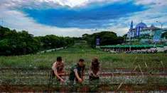 Anggota Tentara Nasional Indonesia dari Komando Distrik Militer (Kodim) 0508 Depok bersama pelajar memanen cabe merah pada lahan urban farming di Jalan Juanda, Kota Depok, Jawa Barat, Rabu (11/12/2024). (merdeka.com/Arie Basuki)