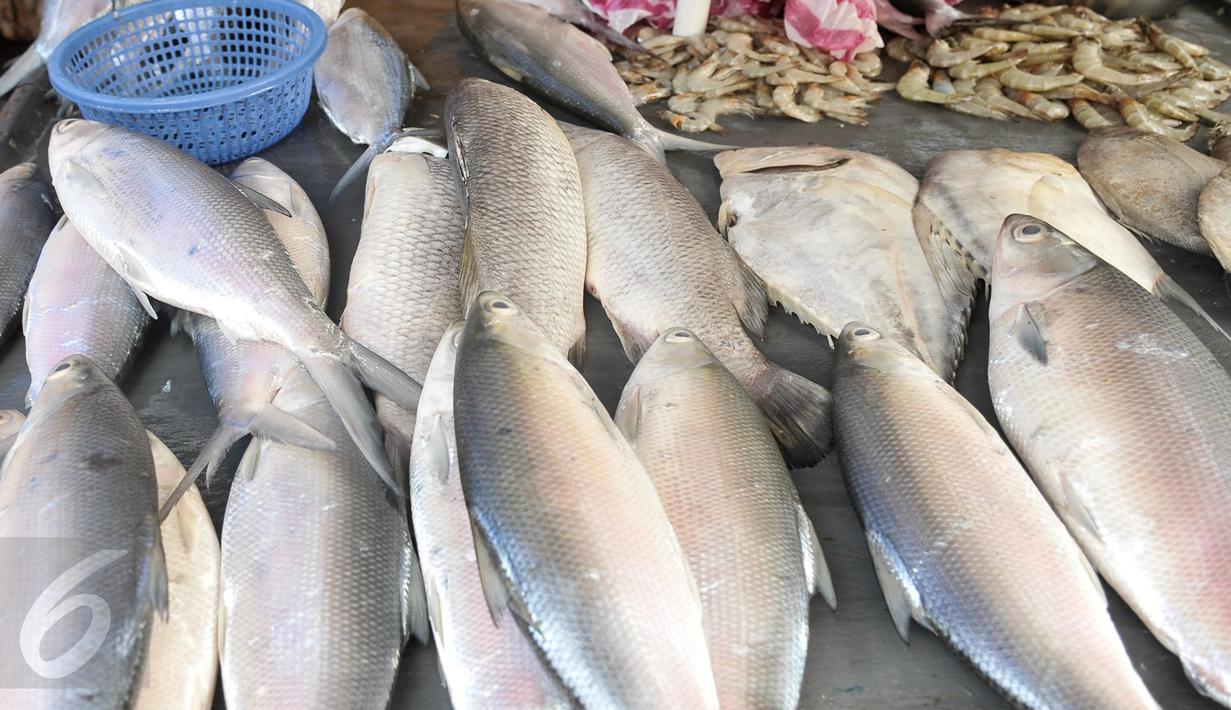 Ikan bandeng segar yang akan di jual di kawasan Petak Sembilan, Jakarta, Selasa (24/1). Dalam tradisi Imlek, ikan bandeng merupakan lambang rezeki dalam kehidupan. (Liputan6.com/Yoppy Renato)