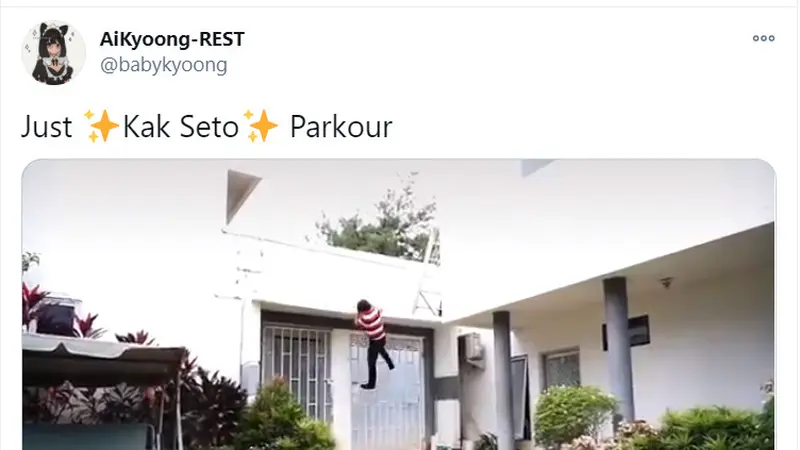 Seto Mulyadi, Kak Seto, Parkour