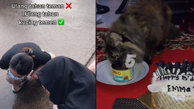 Viral Wanita Ini Rayakan Ulang Tahun Kucing Kesayangannya, Bikin Ngakak