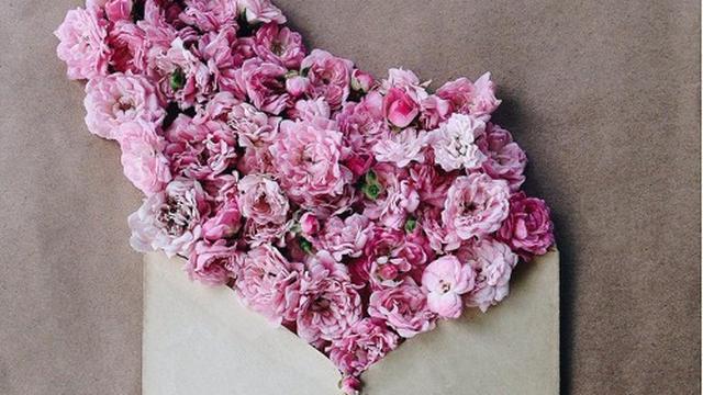 Daftar Tanaman Yang Cocok Jadi Penghias Rumah Hingga Bawa Hoki