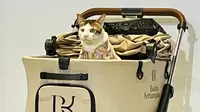 Kata Istana soal Bobby Kertanegara Dikawal Polisi Saat Hadiri Event Kucing