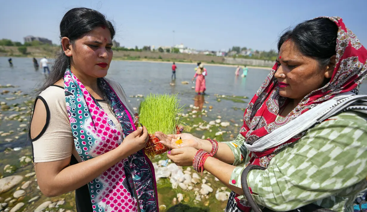 Umat Hindu bersiap untuk membenamkan bibit jelai sebagai persembahan saat Festival Navratri di Sungai Tawi, Jammu, India, 10 April 2022. Sesaji tersebut dibuat sebagai bagian dari ritual menandai berakhirnya festival selama sembilan hari. (AP Photo/Channi Anand)