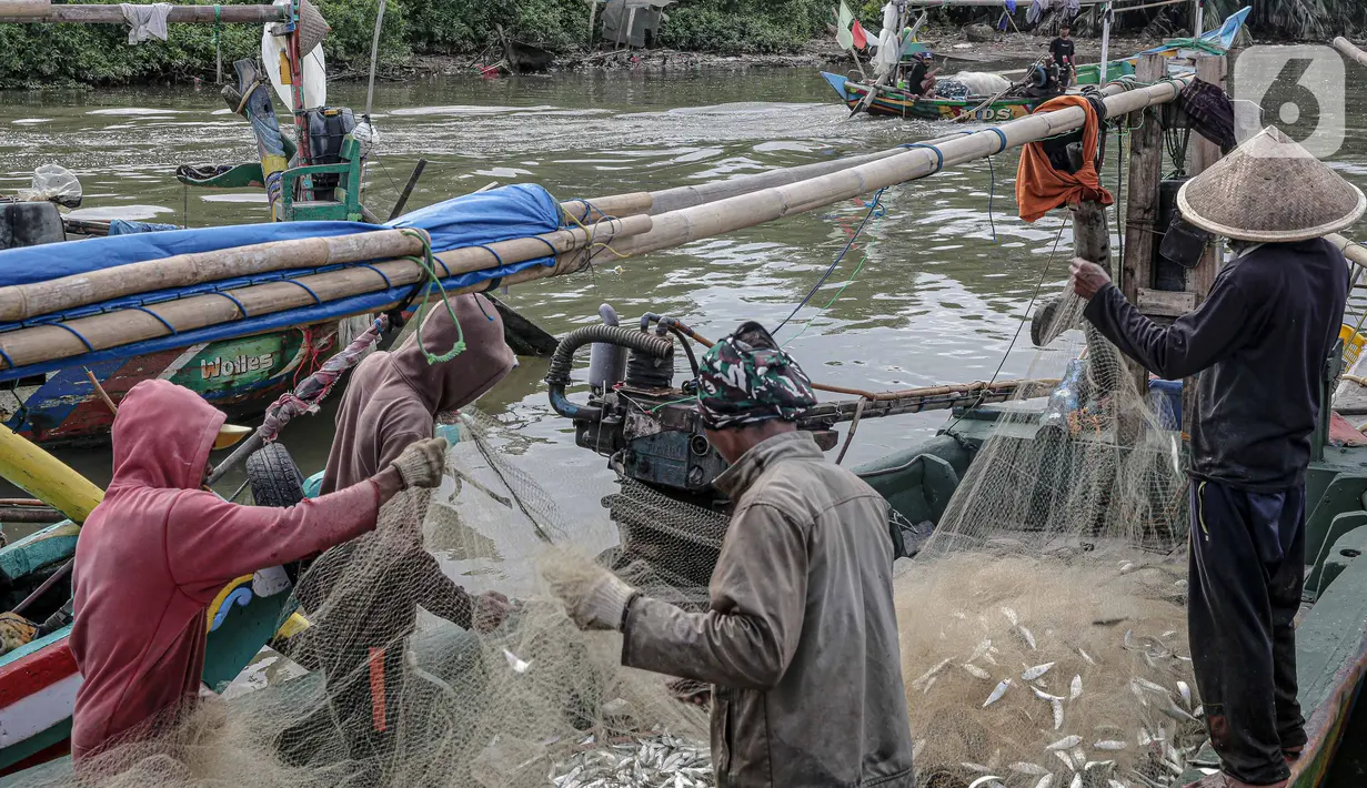 Nelayan mecopot ikan dari jaring hasil tangkapan di Muara Angke, Jakarta, Sabtu (26/2/2022). Kementerian Kelautan dan Perikanan (KKP) mengutamakan nelayan kecil dalam menentukan kuota dalam kebijakan penangkapan ikan terukur yang bakal dilaksanakan mulai tahun 2022 ini. (Liputan6.com/Faizal Fanani)