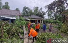 82 Rumah Warga Bondowoso Porak Poranda Diterjang Angin Kencang