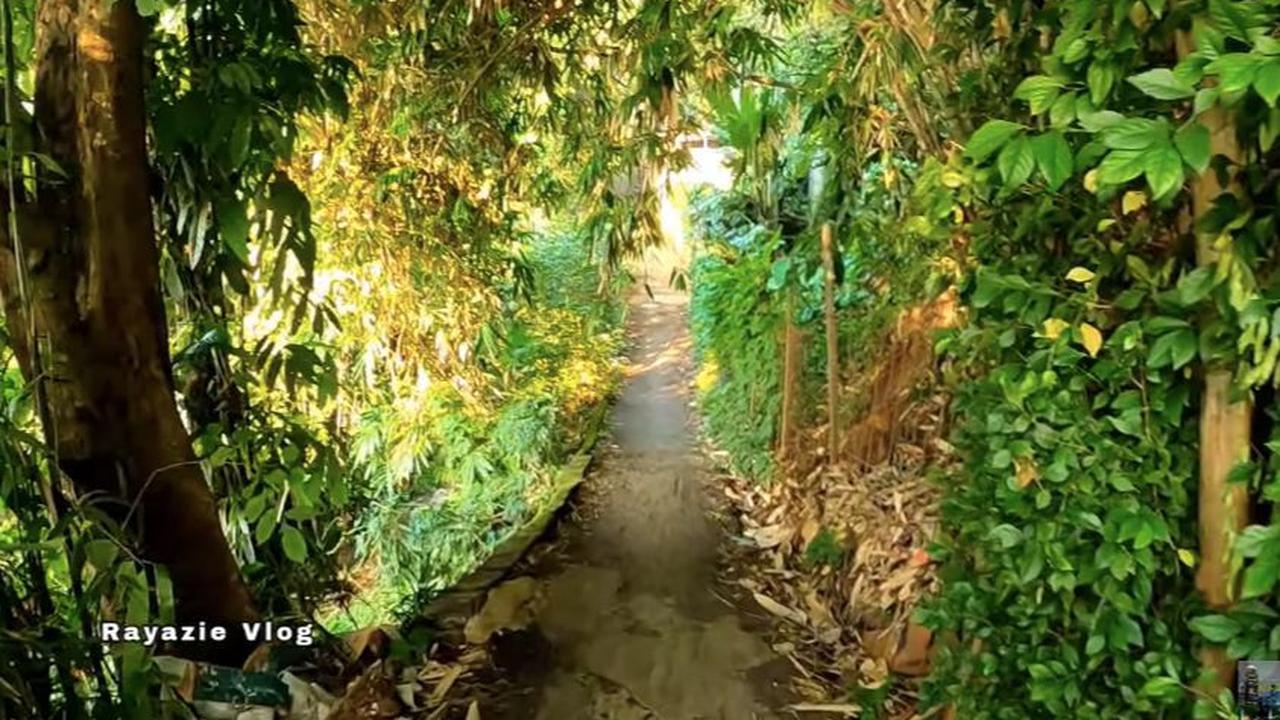 Ketika masuk ke kampung ini, Anda akan disambut dengan suasana sejuk dan segar. <br>